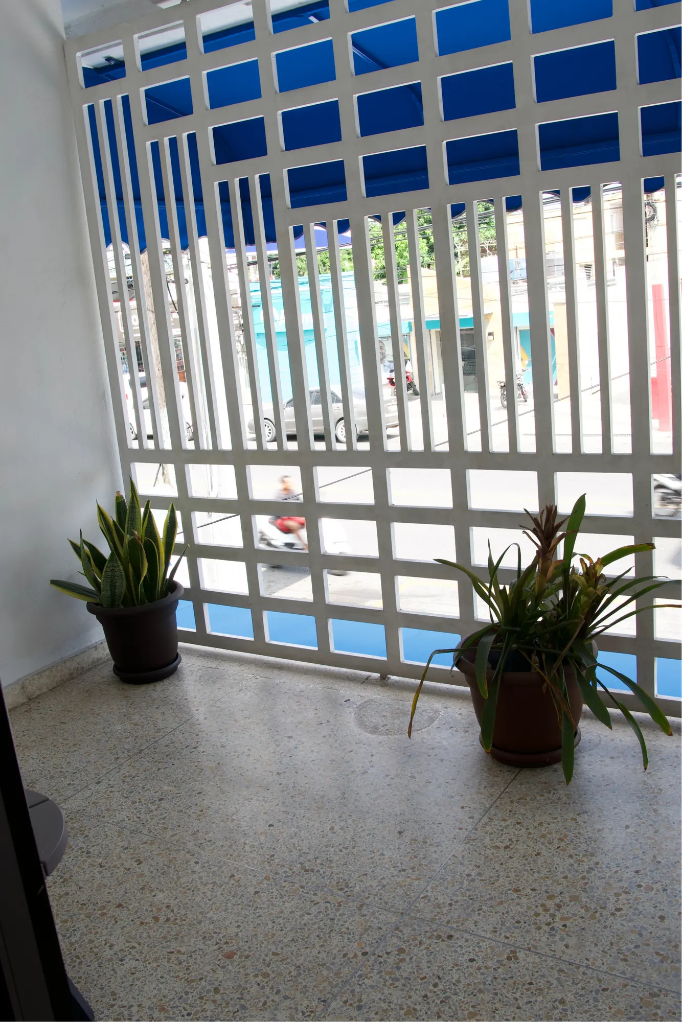 Terraza